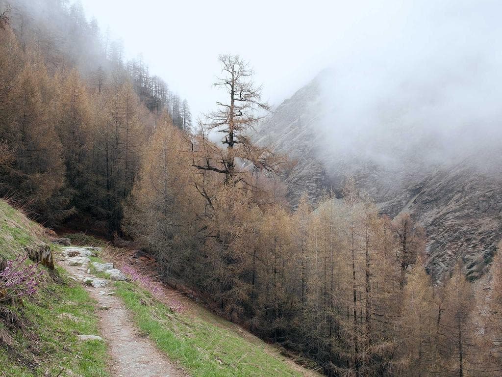 photo 2 of 2